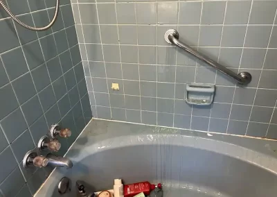 Cleaning Company (3)