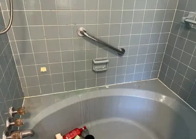 Cleaning Company (4)