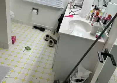 Cleaning Specialists