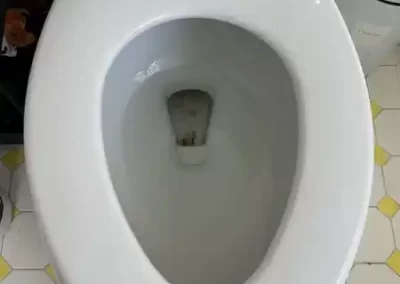 Professional House Cleaning (3)